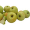 Kauffman Orchards Fresh Golden Delicious Apples, Hand-Picked, Non-Waxed, Grown in Pennsylvania (Box
