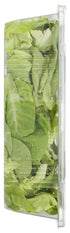 9 OZ GOTHAM GREENS Butterhead Salad