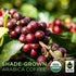 16 Tiny Footprint Coffee - Peru, Medium Roast, USDA Organic Ground Coffee, Fair Trade Certified - Ounce
