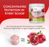 11 oz (Pack 1) Pomegranate Juice Powder - Organic Pomegranate Fruit Juice Concentrated Antioxidants & Electrolytes