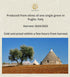 16.9 Fl.Oz. Evoo Extra Virgin Olive Oil from Puglia. Cold pressed olive oil. High polyphenol olive oil organic Fresh