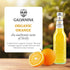 12 oz (Pack 1) Galvanina Orange Premium Organic Italian Sparkling Soda, fl Glass Bottle of | Classic Sicilian Orange