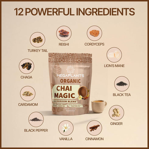 (30 MegaPlants Adaptogenic Mushroom Chai Tea Servings) | No Crash Energy & Focus Blend with Lions Mane, Reishi, Turkey