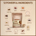 (30 MegaPlants Adaptogenic Mushroom Chai Tea Servings) | No Crash Energy & Focus Blend with Lions Mane, Reishi, Turkey