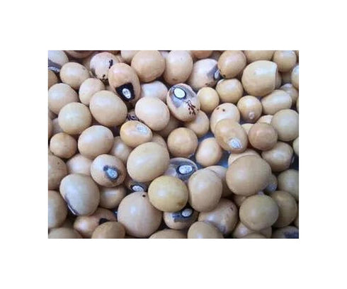 Generic 2.5LB 100% Okpa Flour | Natural ground Okpa Nuts | Bambara nuts | Bambara bean | Congo goober | Earth pea | Hog