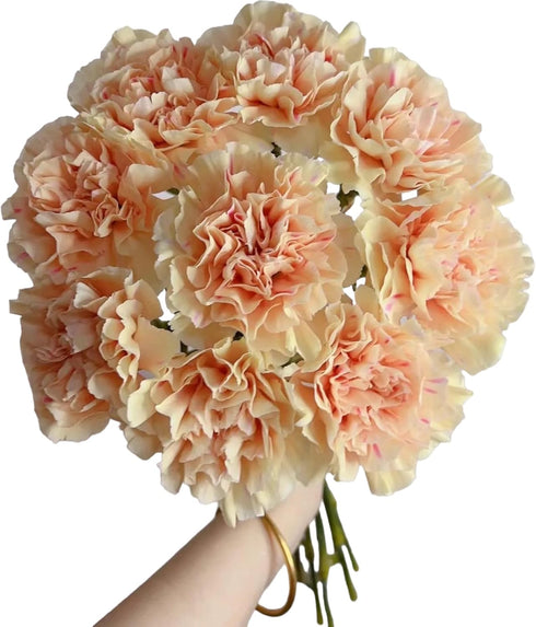 Next-day delivery 38 Apple Tea Color Carnation Flowers DIY Hydroponic Flower Arrangement