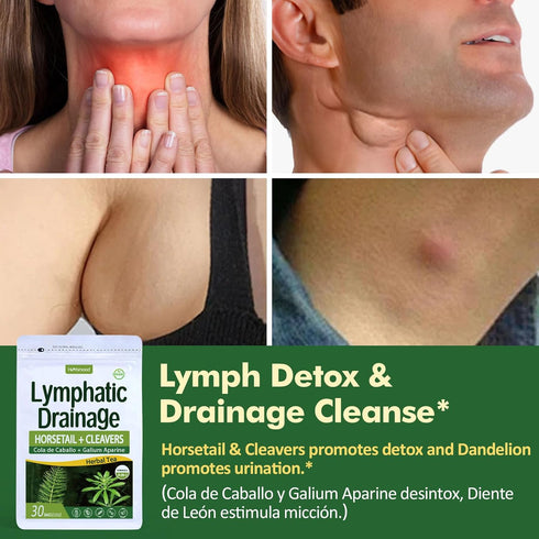 Herbmood Cleavers Lymphatic Drainage Tea Bags for Lymph System Support, Horsetail and Dandelion Organic Herbal Formula, Lymphatic Cleanse & Detox, Edema Relief. Te de Cola de Caballo Herb. 30 bags