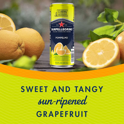 Pack 11.15 Oz (12 Pack) San Pellegrino Sparkling Fruit Beverages Variety Sampler - Fl Cans - In Sanisco Box