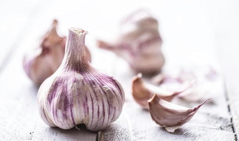 RawJoy Organic Fresh Purple Garlic by Farms