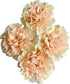 38 Next-day delivery Apple Tea Color Carnation Flowers DIY Hydroponic Flower Arrangement Mothers Day Gift Birthday