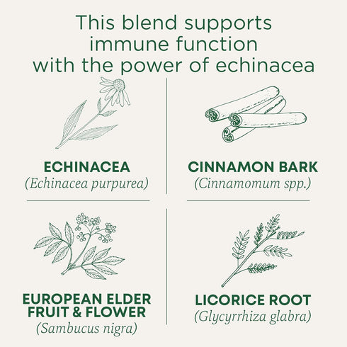Immune Immune 16 Traditional Medicinals Tea, Organic Zoom Elderberry Echinacea - Supports Function - Kosher, Non-GMO