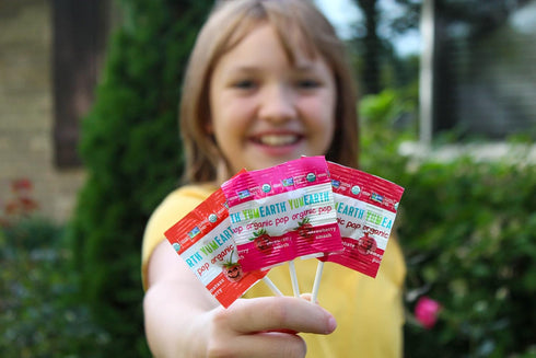 Organic Lollipops, Assorted Flavors, 4.3 Ounce, 20 Lollipops - Allergy Friendly, Non GMO, Gluten Free, Vegan by YumEarth