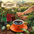 100% 15 CheerfulGoat Instant Cold Brew Coffee Speciality Pocket Coffee Arabica, Freeze Dried for Ultimate Freshness, No