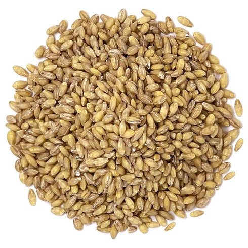 2 100% Food to Live Organic Hulled Barley, Pounds Non-GMO, Whole Grain, Kosher, Vegan, Bulk. Suited for Home Brewing