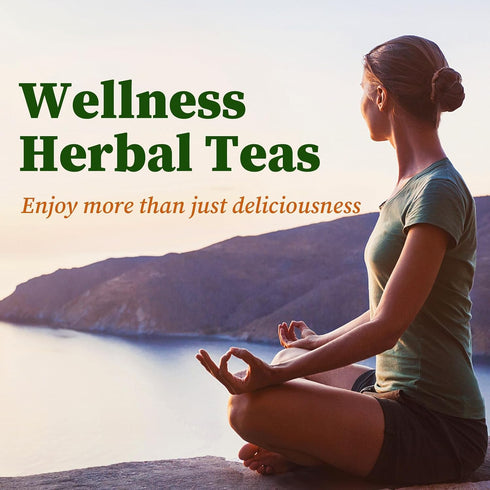 36 1.5g/bag FullChea - Rosemary Tea Bags, Teabags, - Premium Dried Rosemary Leaves - Cultivated From Egypt - Non-GMO