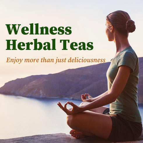 40 FullChea - Soursop Leaves Tea Bags, Teabags - Premium Soursop Graviola Leaves - Hojas De Guanabana Tea - Non-GMO