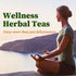 40 FullChea - Soursop Leaves Tea Bags, Teabags - Premium Soursop Graviola Leaves - Hojas De Guanabana Tea - Non-GMO