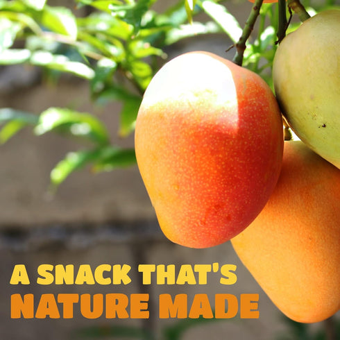 Paradise Valley 8 oz. 6 Pack) Dried Mango Slices - Delicious Texture Soft & Juicy Low Sugar Added Dried Mango