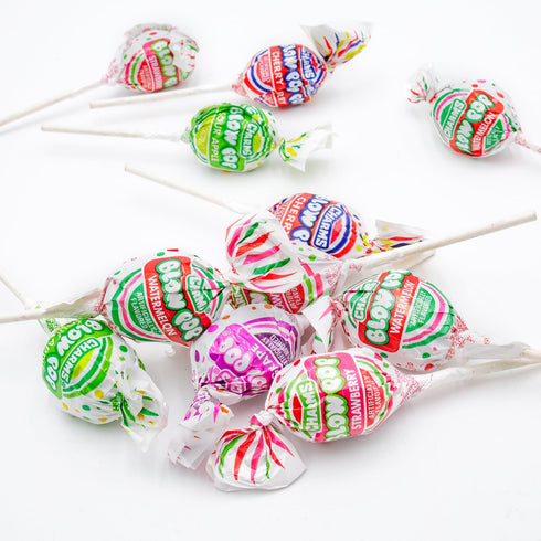 CHARMS BLOW POPS Lollipops 1 lb – Bulk Candies, Individually Wrapped (23 Pieces), Assorted Fruit Flavors, Hard Candy