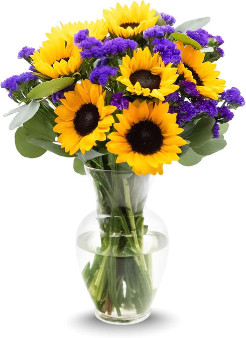 Stargazer Barn Sunflower Fields Bouquet with Vase - Fresh Cut Flower Delivery,