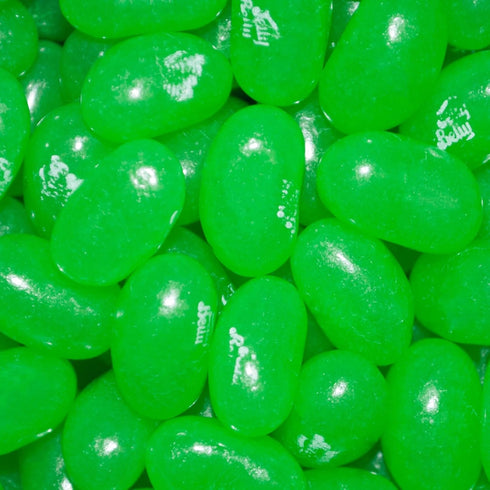1.5lb Green Jelly Beans Candy - Green Apple (approximately 600 Pcs)