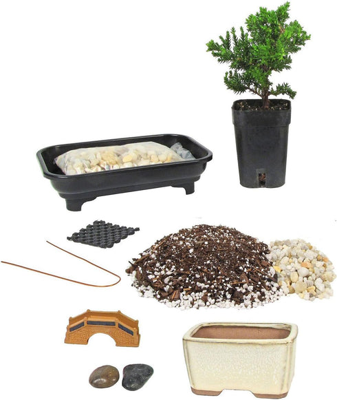 Eve's Garden, Inc Eve's Deluxe Bonsai Tree Starter Kit About 2 Years Old, Complete Do-It-Yourself
