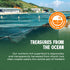 4.2oz (6 0.7oz Packs) Immunity VieTreasures Dehydrated Sea Grapes - x | Organic Green Caviar Seaweed | Vegan