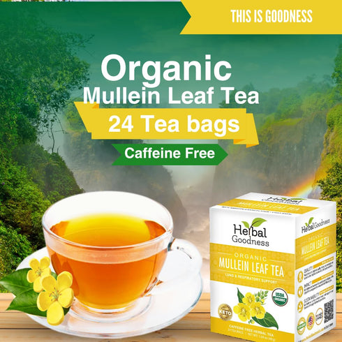 Immune 24 Mullein Leaf Tea - Organic Mullein Tea Bags For Lungs, Respiratory Health, Digestive System, System, Supports
