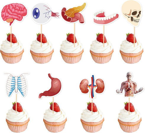 36 Pcs Anatomy Theme Cupcake Toppers, Mini Human Body Organ Toothpick Picks