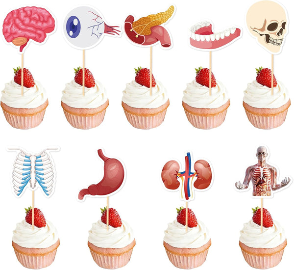 36 Pcs Anatomy Theme Cupcake Toppers, Mini Human Body Organ Toothpick Picks