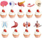 36 Pcs Anatomy Theme Cupcake Toppers, Mini Human Body Organ Toothpick Picks