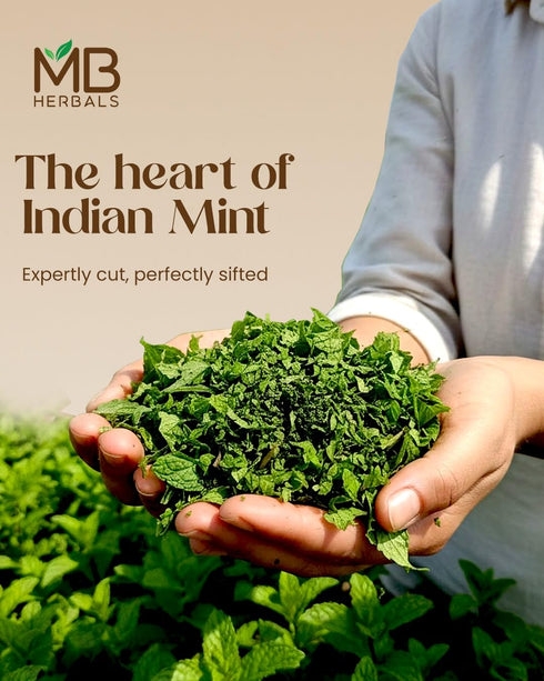 2.8 oz (80g) 100% MB Herbals Peppermint Leaves Cut & Sifted | Pure Dried Mentha piperita | Herbal Mint Infusion | No