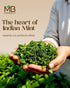2.8 oz (80g) 100% MB Herbals Peppermint Leaves Cut & Sifted | Pure Dried Mentha piperita | Herbal Mint Infusion | No
