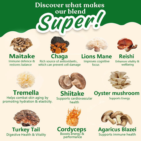 10 Immunity 30 Suiyilary Mushroom Matcha Powder with Lion's Mane, Reishi, Mushroom Polysaccharides & More, Japanese