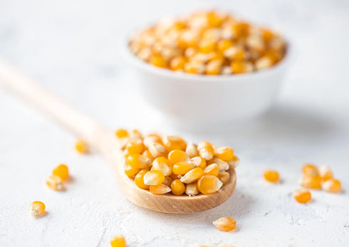 7 100% Food to Live Organic Yellow Popcorn, pounds Non-GMO Corn Kernels, Whole Grain, No Additives, No Preservatives