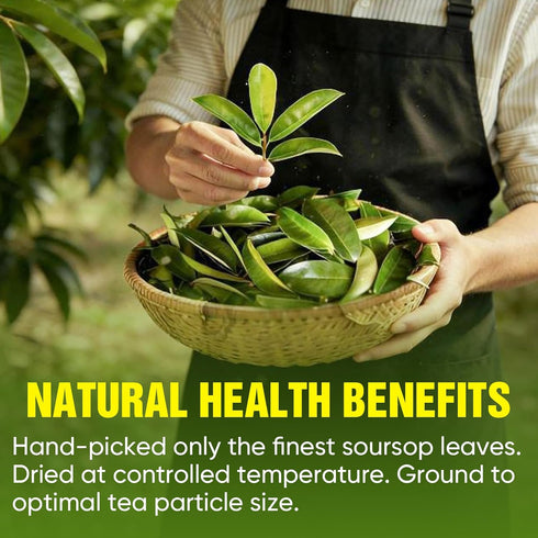 TEAWOO 60 Packs 100% Soursop Tea Bags, Natural Soursop Leaves (Hojas de Guanabana), Sugar-Free Caffeine-Free