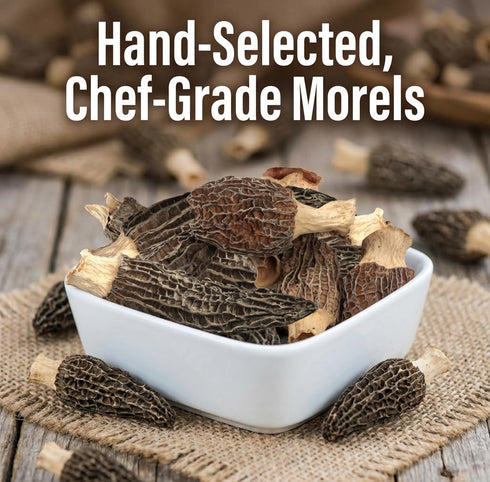Season Harvests 2oz, Dried Morel Mushrooms Premium Gourmet Morels Fresh Flavor Morel Mushroom for Sauces, Stews