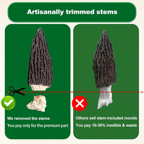 Trimmed (2+ Inches) 2oz Grade100% MillynLike Dried Morel Mushrooms Stems & Large Caps | Gourmet Morchella Conica
