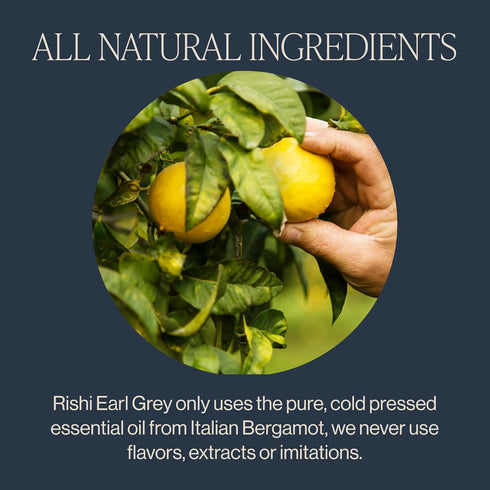 50 Count Rishi Tea Earl Grey Tea - Organic Sachet Tea Bags, Pure Black Tea with Bergamot Oil, Energizing & Caffeinated