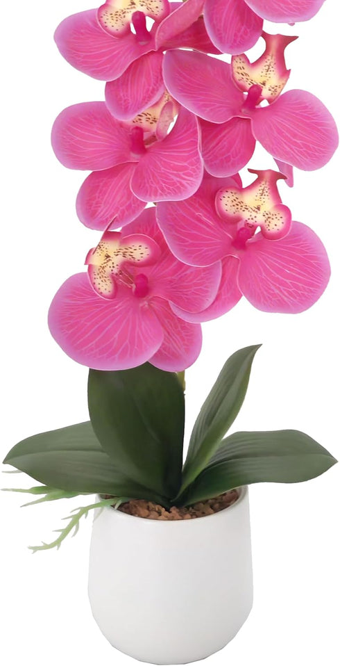 16" Summer Ashland Pink Orchid in Ceramic Pot, Home Decor