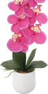 16" Summer Ashland Pink Orchid in Ceramic Pot, Home Decor