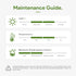 (10 4 Inch) Lucky Bamboo Plants Live Indoor Stalks, - Fresh House Plants for Office Desk, Home Decor, for Positive