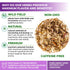 50 50 Count Bags Dried Sage Herb Herbs Tea (Salvia Officinalis) - Tea Bags Salvia Sage