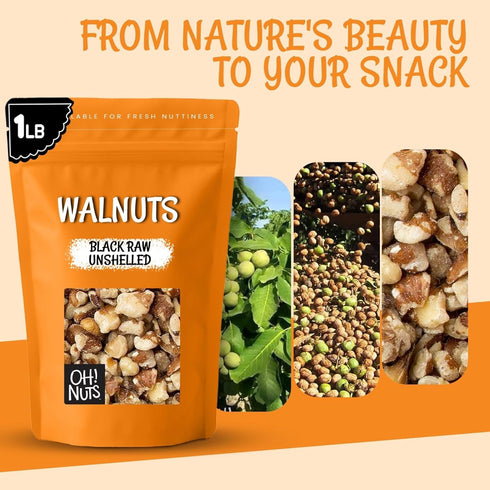 1 lb Oh! Nuts Black Raw Unshelled Walnuts - Fresh Chopped Walnuts - Bulk Bag - Black Walnut for Baking, Snacking