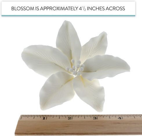3 Count Global Sugar Art Casablanca, Easter Lily Sugar Cake Flowers, White Extra Large by Chef Alan Tetreault