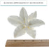 3 Count Global Sugar Art Casablanca, Easter Lily Sugar Cake Flowers, White Extra Large by Chef Alan Tetreault