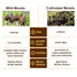 2oz, (56.7g) VIGOROUS MOUNTAINS Premium Dried Wild Morel Mushrooms Wild Harvested, Earthy Flavor & Rich Umami-Perfect