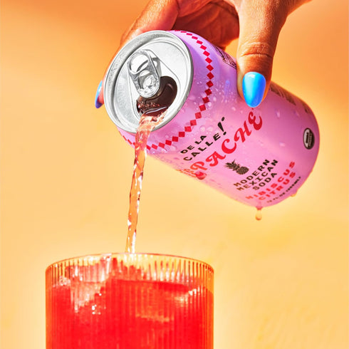 Pack De La Calle Tepache - Mixta Variety - Modern Mexican Soda - Craft Fermented Pineapple Sparkling Beverage