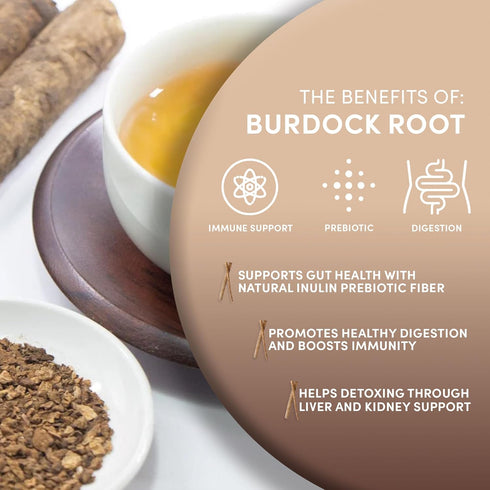 1 lb 100% 16 Worldwide Botanicals Organic Burdock Root - Arctium lappa - Raz de Bardana Cut & Sift, Excellent Detox