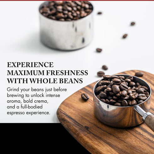WellBalanced 1 lb Caffe D'arte Meaning of Life Whole Bean Coffee MediumDark Roast, Classic Blend, Roasted in Seattle